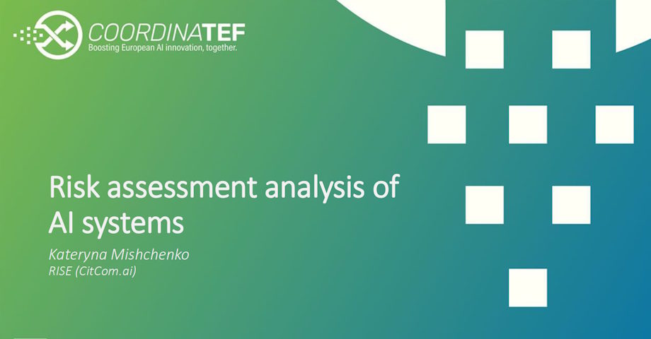 Risk assessment analysis of AI systems