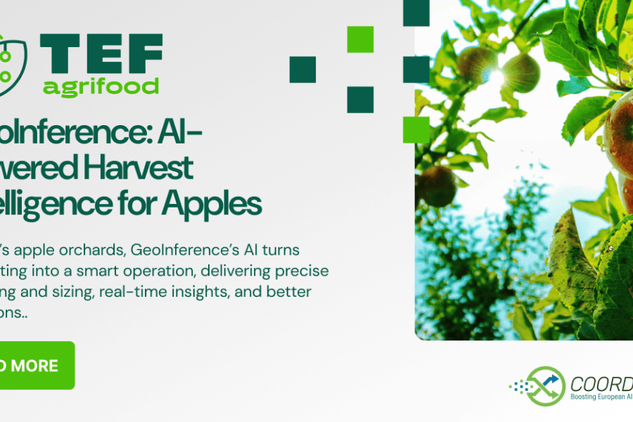 agrifoodTEF - Geoinference