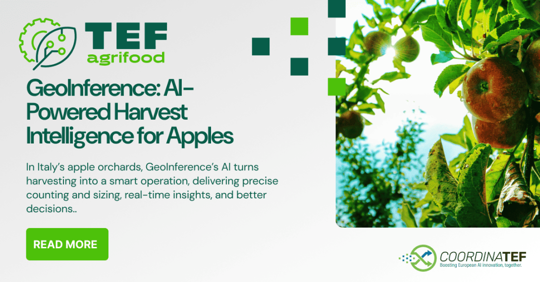 agrifoodTEF - Geoinference